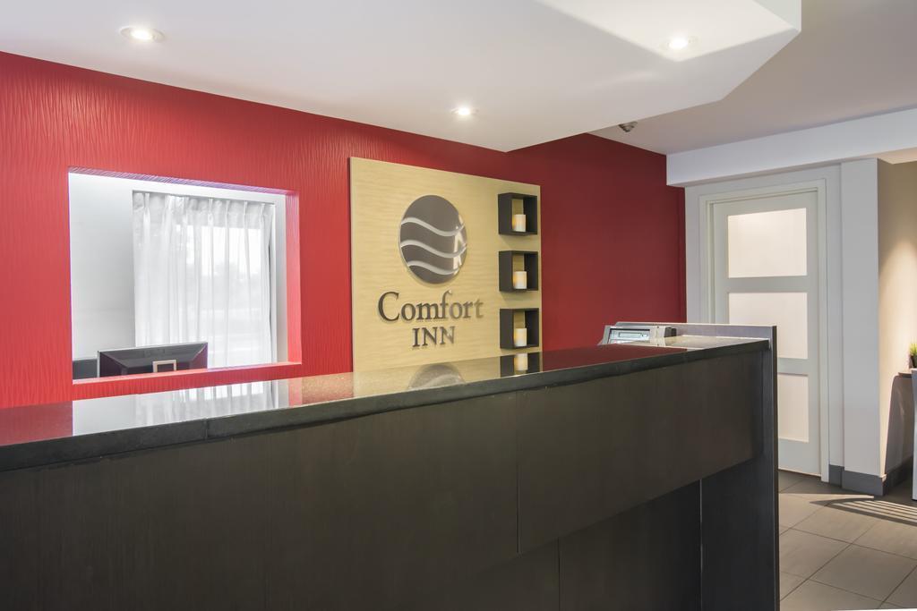 Comfort Inn Airport East Québec Dış mekan fotoğraf