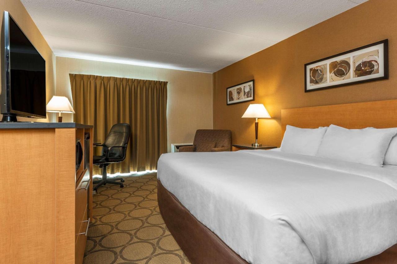 Comfort Inn Airport East Québec Dış mekan fotoğraf