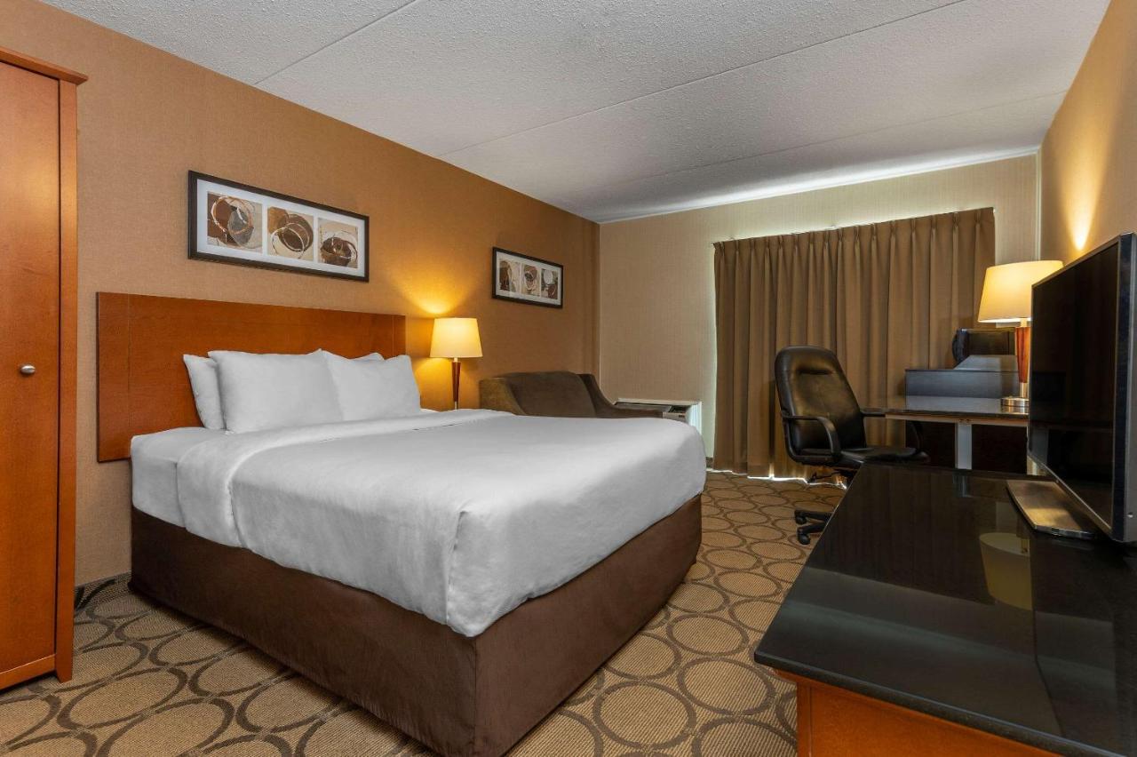 Comfort Inn Airport East Québec Dış mekan fotoğraf